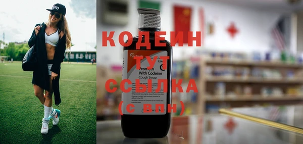 эйфоретик Баксан