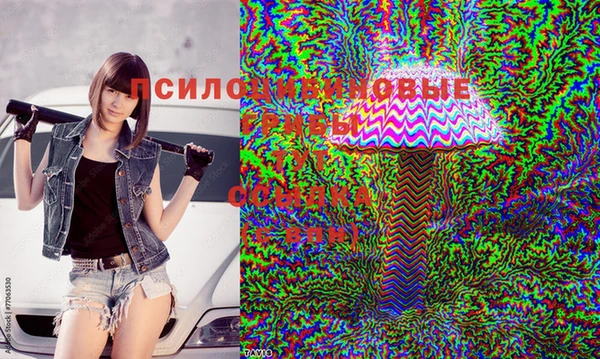 соль ск Балахна