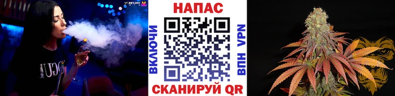 Бошки Шишки планчик  Купить закладки  Новая Ладога 